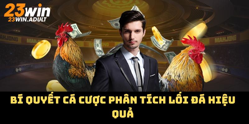 Bí quyết cá cược phân tích lối đá hiệu quả