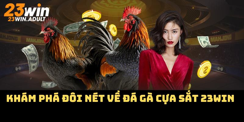 Khám phá đôi nét về đá gà cựa sắt 23WIN