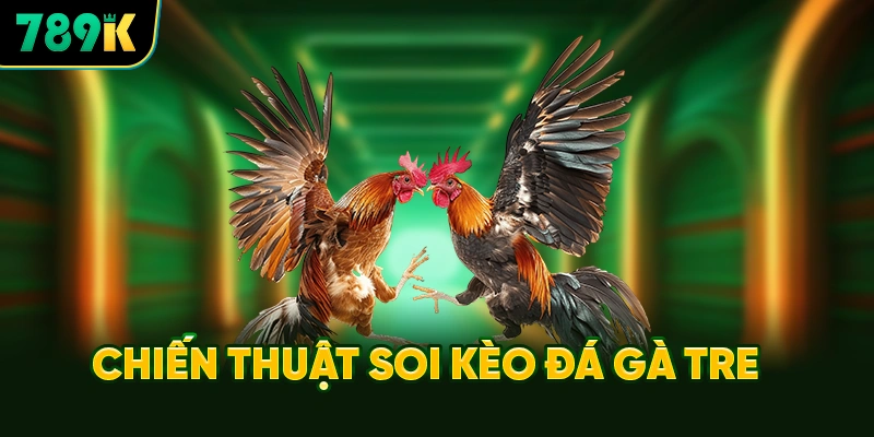 Chiến Thuật Soi Kèo Đá Gà Tre Bất Bại