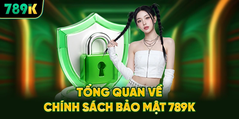 Tổng Quan Về Hệ Thống Chính Sách Bảo Mật 789K