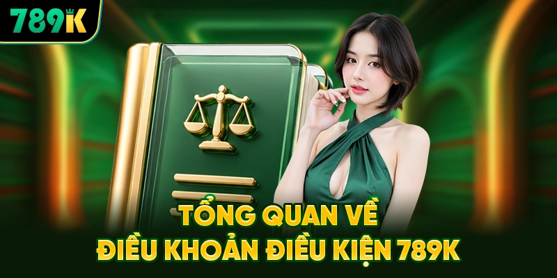 Tổng Quan Về Hệ Thống Điều Khoản Điều Kiện 789K