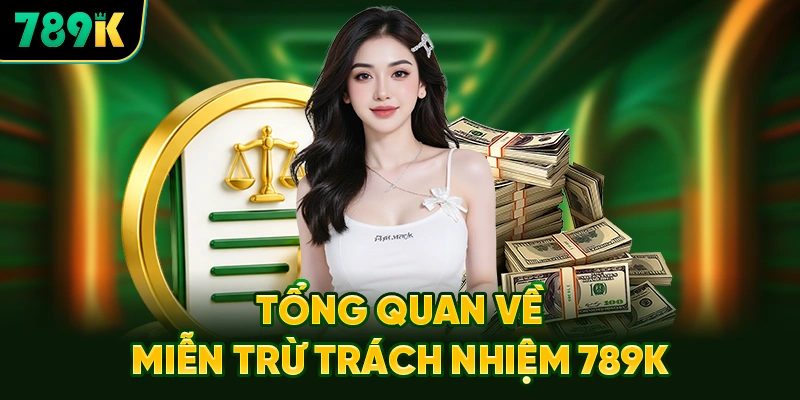 Tổng Quan Về Chính Sách Miễn Trừ Trách Nhiệm 789K